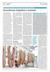 Krónika XXI. évfolyam, 239. szám