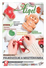Székelyhon napilap I. évfolyam, 245. szám