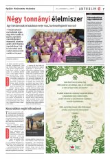 Székelyhon napilap I. évfolyam, 246. szám