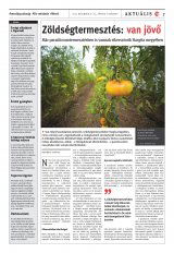 Székelyhon napilap I. évfolyam, 248. szám