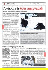 Székelyhon napilap II. évfolyam, 3. szám