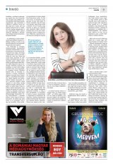 Krónika XXII. évfolyam, 3. szám