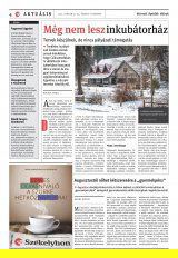 Székelyhon napilap II. évfolyam, 10. szám