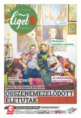 Székelyhon napilap II. évfolyam, 10. szám