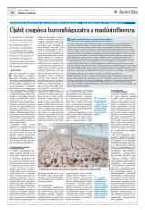 Krónika XXII. évfolyam, 10. szám