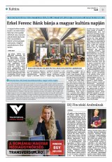 Krónika XXII. évfolyam, 12. szám