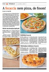 Székelyhon napilap II. évfolyam, 13. szám