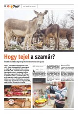 Székelyhon napilap II. évfolyam, 17. szám