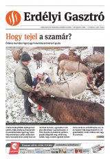 Székelyhon napilap II. évfolyam, 17. szám