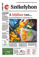 II. évfolyam, 19. szám