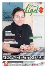 Székelyhon napilap II. évfolyam, 19. szám