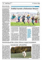 Krónika XXII. évfolyam, 19. szám