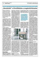 Krónika XXII. évfolyam, 19. szám