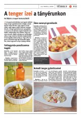 Székelyhon napilap II. évfolyam, 22. szám
