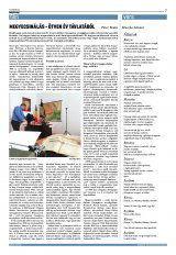 Krónika XXII. évfolyam, 25. szám
