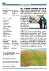 Krónika XXII. évfolyam, 25. szám