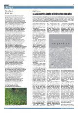 Krónika XXII. évfolyam, 25. szám