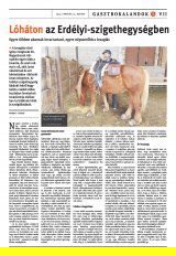 Székelyhon napilap II. évfolyam, 27. szám