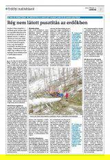 Krónika XXII. évfolyam, 28. szám