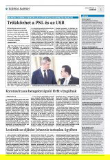 Krónika XXII. évfolyam, 28. szám