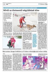 Krónika XXII. évfolyam, 31. szám