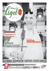 Székelyhon napilap II. évfolyam, 39. szám