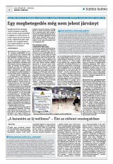 Krónika XXII. évfolyam, 39. szám