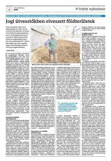 Krónika XXII. évfolyam, 40. szám