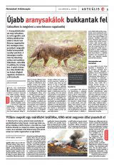Székelyhon napilap II. évfolyam, 42. szám