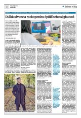 Krónika XXII. évfolyam, 43. szám