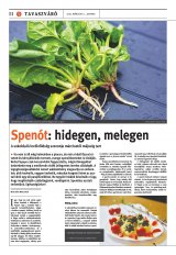 Székelyhon napilap II. évfolyam, 47. szám
