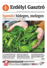 Székelyhon napilap II. évfolyam, 47. szám
