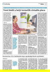 Krónika XXII. évfolyam, 48. szám