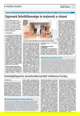 Krónika XXII. évfolyam, 49. szám