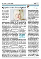 Krónika XXII. évfolyam, 51. szám