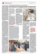 Székelyhon napilap II. évfolyam, 53. szám