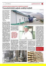 Krónika XXII. évfolyam, 53. szám