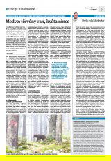 Krónika XXII. évfolyam, 53. szám