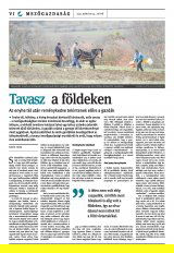 Székelyhon napilap II. évfolyam, 55. szám