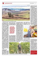 Krónika XXII. évfolyam, 58. szám
