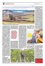Székelyhon napilap II. évfolyam, 58. szám