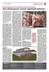 Krónika XXII. évfolyam, 63. szám