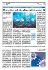 Krónika XXII. évfolyam, 65. szám