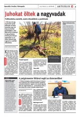 Székelyhon napilap II. évfolyam, 71. szám