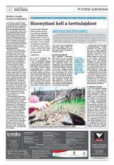 Krónika XXII. évfolyam, 72. szám
