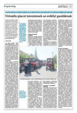 Krónika XXII. évfolyam, 77. szám