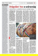 Székelyhon napilap II. évfolyam, 84. szám