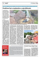 Krónika XXII. évfolyam, 85. szám