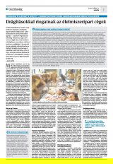 Krónika XXII. évfolyam, 89. szám