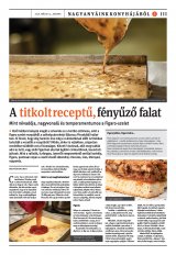 Székelyhon napilap II. évfolyam, 89. szám